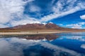 The traveler takes pictures of Pink flamingo in the lake. Lake Hedionda in Bolivia Royalty Free Stock Photo