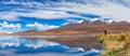 The traveler takes pictures of Pink flamingo in the lake. Lake Hedionda in Bolivia. Panoramic view Royalty Free Stock Photo