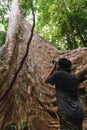Traveler taking picture of giant tree in the rainforest of Hala-Bala wildlife sanctuary. Royalty Free Stock Photo