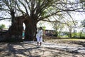 Traveler thai women travel visit and posing portrait take photo at ancient ruin brick gate entrance with bodhi tree and banyan