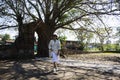 Traveler thai women travel visit and posing portrait take photo at ancient ruin brick gate entrance with bodhi tree and banyan