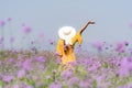 Traveler or tourism Asian women standing and chill in the purple verbena flower field in vacations time. People freedom and re