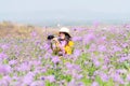 Traveler or tourism Asian women standing and holding camera take a photo flower in the purple verbena field in vacations time.