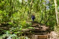 Traveler trekking at Kew Mae Pan Nature Trail