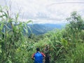 Traveler trekking in tropical forest, mountain view