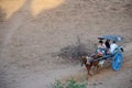 Traveler use horse drawn carriage for travel around ancient city bagan