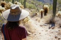 traveler in widebrimmed hat observing cacti on a desert trail Royalty Free Stock Photo