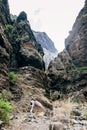 Traveler woman enjoy amazing mountains landscape during hiking r Royalty Free Stock Photo