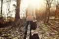 Traveler woman follows the light of hope in the forest Royalty Free Stock Photo