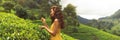 Traveler Woman With Tea Leaf in Hand During Her Travel to Famous Nature Landmark Tea Plantations Royalty Free Stock Photo