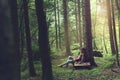 Traveler woman rests in a mysterious and surreal forest
