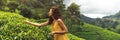 Traveler Woman With Tea Leaf in Hand During Her Travel to Famous Nature Landmark Tea Plantations in Sri Lanka Royalty Free Stock Photo