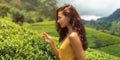 Traveler Woman With Tea Leaf in Hand During Her Travel to Famous Nature Landmark Tea Plantations Royalty Free Stock Photo