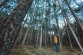 Traveler yellow jacket in a pine forest with tall trees. Leisure