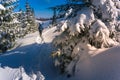 Travelers with a backpacks walking along the road through the forest in the winter mountains. Royalty Free Stock Photo