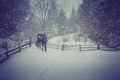 Travelers with a backpacks walking along the road through the forest in the winter mountains. Royalty Free Stock Photo