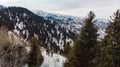 Travelers in the mountains. Three tourists stand on the crest of a mountain range among trees. Winter mountain tourism