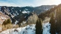 Travelers in the mountains walk on snowshoes. Three tourists go along the ridge among the trees. Winter mountain tourism