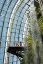 Travelers seeing waterfall in Cloud Forest Dome