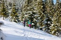 Travelers travel together through beautiful nature in winter. two girls walk through the woods in winter