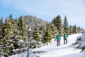 Travelers travel together through beautiful nature in winter. two girls walk through the woods in winter