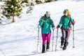 Travelers travel together through beautiful nature in winter. two girls walk through the woods in winter