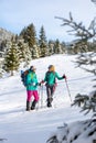 Travelers travel together through beautiful nature in winter. two girls walk through the woods in winter