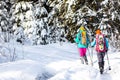 Travelers travel together through beautiful nature in winter. two girls walk through the woods in winter