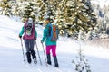 Travelers travel together through beautiful nature in winter. two girls walk through the woods in winter