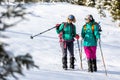 Travelers travel together through beautiful nature in winter. two girls walk through the woods in winter