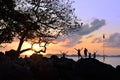 Travelers Tree Sunset