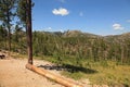 Traveling along the needles highway