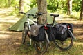 Traveling by bicycle and camping in pine forest Royalty Free Stock Photo