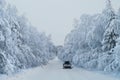 Traveling on car along winter road with hanging snowy pine branches in wood, Karelia, Russia Royalty Free Stock Photo