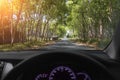 Traveling by car. Asphalt road among of the rubber forest in Thailand, Phuket. Summer adventure. Amazing landscape.