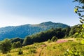 Traveling by the Carpathians. Polonyna Runa, Gostra, and other peaks. Spring, Summer and Autumn rest in the Carpathians. Green, Royalty Free Stock Photo