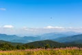 Traveling by the Carpathians. Polonyna Runa, Gostra, and other peaks. Spring, Summer and Autumn rest in the Carpathians. Green, Royalty Free Stock Photo