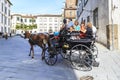 Traveling in a charabanc Royalty Free Stock Photo