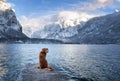 Traveling with a dog in Autria. Nova Scotia Duck Tolling Retriever on the dock in a mountain lake. Royalty Free Stock Photo