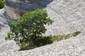 Traveling. Explore world. Nature view. Magnificent chalk mountains. Green blooming tree in centre. Dangerous steep hill