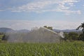 Irrigation Of An Australian Sugar Cane Crop