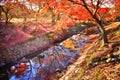 Traveling Japan in autumn