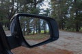 Traveling through pine plantation with view of trees ahead and in rear vision mirror