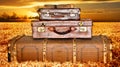 Traveling suitcases in a wheat field at sunset