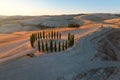 Traveling Tuscany. Cypress trees circle illuminated by the setting sunfrom the air. Royalty Free Stock Photo