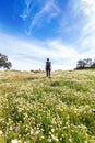 Traveling woman with backpack walking in flowery field. Blue sky and Sunny spring day, rear view. Freedom concept background