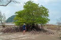 Traveller asian woman and single lonely mangrove tree on the deforested mangrove forest beach during low tide period, Malaysia