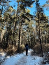 Traveller man in a blue winter jacket ad red cap in the woods. Sandy bay, Baikal lake