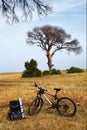 Traveller's backpack and bicycle