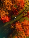 Traveller on stand up paddle board at the river with Taxodium trees in autumn. Aerial view